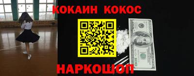 тгк Бийск