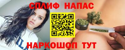 тгк Бийск