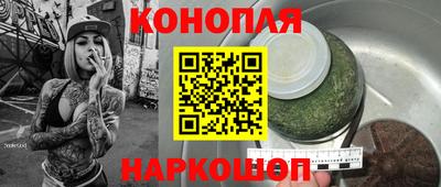 тгк Бийск