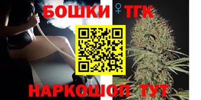 тгк Бийск