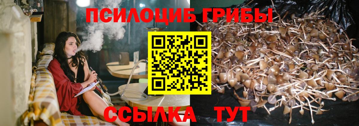 Зеленодольск  Галлюциногенные грибы ЛСД  Вход с VPN 
