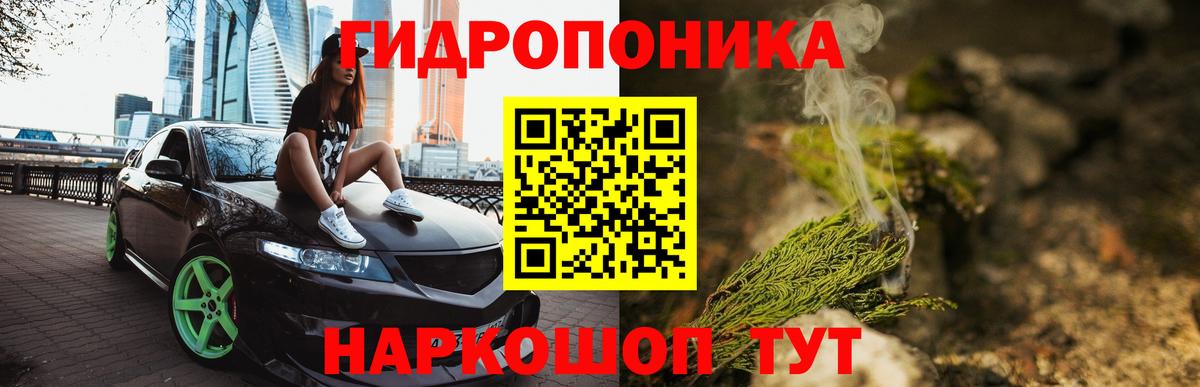 Зеленодольск  Конопля сатива  Шишки марихуана сатива  Вход с VPN  Марихуана White Widow 